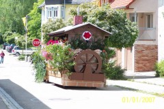 Bild46