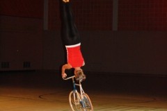 Bild61