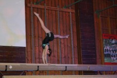 Bild051