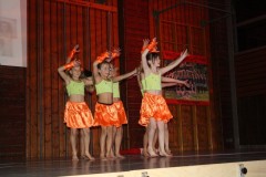 Bild115
