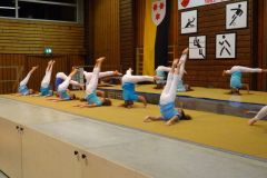 dsc00533
