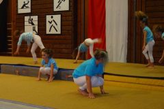 dsc00535