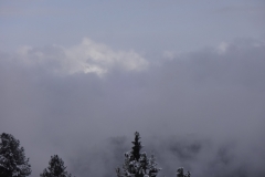 DSC02406