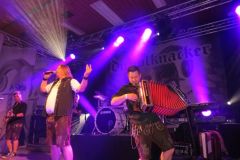 alpenparty33