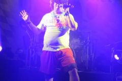 alpenparty45
