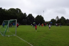 Bild19