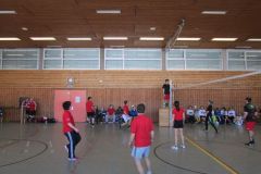 IMG_2302