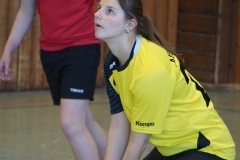 volleyball-54